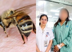 Tự mua thuốc về uống sau khi bị ong đốt, người bệnh sốc phản vệ