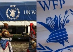 WFP mở rộng dự án phát triển hệ thống lương thực ở Cuba