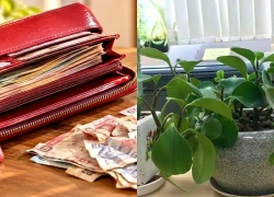 3 thứ phong thủy nhắc nhở không nên để trong ví tiền, kiểm tra ngay kẻo tài lộc thất thoát
