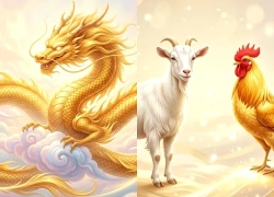 7 ngày đầu tháng 10: 3 con giáp dễ gặp quý nhân trong công việc, cơ hội thăng tiến đến gần