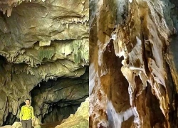 Phát hiện hang động nhiều tầng trong rừng nguyên sinh ở Nghệ An
