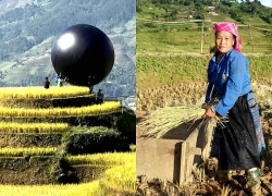 Địa phương thông tin việc đặt quả bóng màu đen giữa ruộng bậc thang Mù Cang Chải