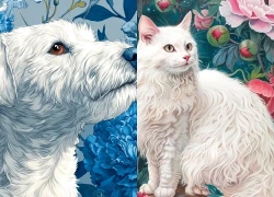 5 con giáp nữ được nhiều bạn bè yêu quý