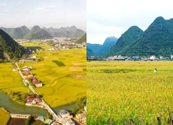 Em dâu giám đốc, lương 70 triệu bất bình vì phải gửi bố mẹ chồng 5 triệu/tháng