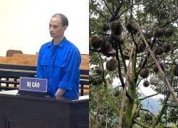 Giả làm chủ vườn sầu riêng, lừa hơn 6 tỷ đồng rồi đem đánh bạc