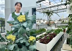 Khu vườn 40m trên sân thượng ở TP.HCM: Rau xanh ăn quanh năm, chiều nào gia chủ cũng lên "xả stress"