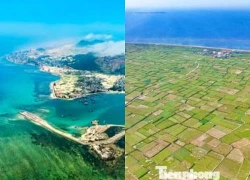 Ngỡ ngàng 'ruộng bậc thang' giữa biển Lý Sơn