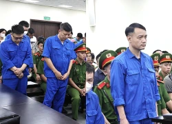 Nhận 140.000 USD chạy án cho công ty sữa giả, cựu công an lĩnh 12 năm tù