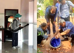 Phối hợp, tăng cường giám sát ca bệnh sốt xuất huyết