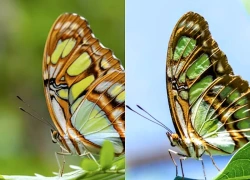 Số cuối ngày sinh Âm lịch của người càng sống càng có phúc, hậu vận dễ đủ đầy
