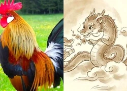 Tử vi hôm nay, xem tử vi 12 con giáp hôm nay ngày 29/9/2026: Tuổi Tuất công việc khó khăn