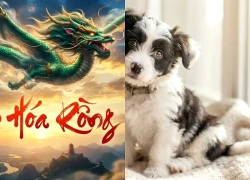 3 con giáp đỏ nhất trong tuần mới (28/9-4/10): 1 tuổi Trúng Số giàu đỉnh nóc