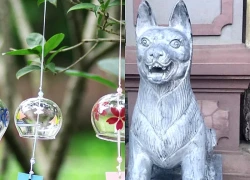 Những vật phẩm phong thủy nên treo trước cửa nhà để chiêu tài, tránh điềm xấu