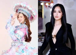 Bảo Ngọc đặt cạnh Mai Phương Thúy, soi học vấn phát hiện nhiều điểm chung thú vị