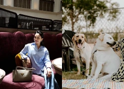 Căn nhà cho 14 chú chó của "phú bà" bán gạo ở TP.HCM: Lắp điều hòa, camera, cửa tự động