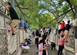 Cảnh tượng lạ sáng ngày khai giảng