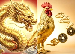 Tử vi 12 con giáp từ 7-13/9: 3 tuổi vận tiền bạc mở lối, thu nhập có cơ hội tăng