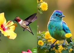 Điềm lành điểm đúng 12 giờ trưa mai (7/9/2026), 3 con giáp nhận 'phúc phần Trời ban', tiền xếp chật ví, cứ vơi lại đầy, tha hồ sống hưởng thụ