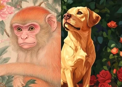 Đúng 20h hôm nay, ngày 4/9/2026, 3 con giáp thu vận may - hút lộc trời, ngập ngụa trong biển vàng cát bạc, PHÚC KHÍ VÔ BIÊN, túi tiền rủng rỉnh