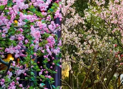 Giờ sinh Âm lịch của người có vận khí tốt, đường công danh rộng mở