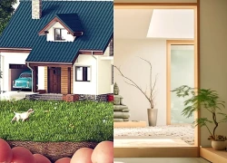 Bí quyết nhận biết nhà vượng khí, chọn hướng phong thủy và mẹo làm xanh không gian sống