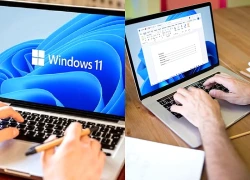 Microsoft ngừng công cụ kiểm tra độ tương đồng trên Word từ tháng 10