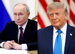 Nga lên tiếng sau tin Đặc phái viên Mỹ sắp tới Moskva với đề xuất chấm dứt xung đột Ukraine