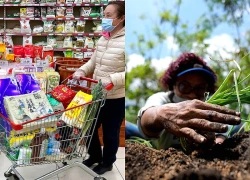 Xây dựng hệ thống lương thực thích ứng tốt hơn với biến đổi khí hậu