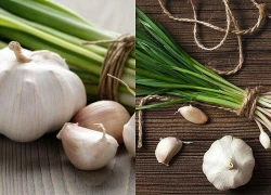 3 loại cây có mùi khiến chuột ngại lui tới, 2 loại sẵn có trong căn bếp