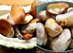 3 loại hạt thường bị vứt bỏ nhưng lại giàu chất xơ, đặc biệt tốt cho tiêu hóa