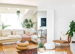 5 lưu ý phong thủy khi đặt cây cảnh trong nhà để tránh phản tác dụng