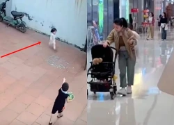 Chứng kiến cảnh mẹ loạng choạng ngồi dậy từ dưới nền nhà, tôi tua lại camera và rồi tim như bị xé rách