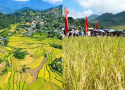 Đặc sắc Ngày hội Mùa vàng Tả Lèng giữa không gian núi rừng Tây Bắc