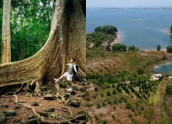 Đồng Nai tạo sức bật du lịch từ những sản phẩm mang đậm dấu ấn bản địa
