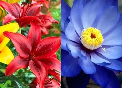 Đúng hôm nay, thứ 4 ngày 9/9/2026, 3 con giáp mất lộc Thần Tài, đường công danh lao dốc, cuộc sống trở nên khó khăn trăm bề