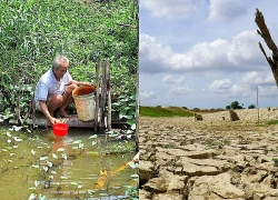El Nino rất mạnh, gần 13.800 hộ dân Cà Mau có thể thiếu nước