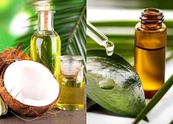 Không phải loại dầu tự nhiên nào cũng hợp với da, 7 lựa chọn đáng cân nhắc khi vào thu