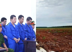 Mâu thuẫn đất trồng cây cao su, 4 anh em ruột cùng lĩnh án tù ở Tây Ninh