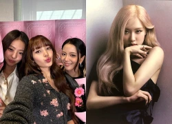 Sau kỷ niệm 10 năm BLACKPINK: 3 dấu ấn cá nhân và sự mong đợi dành cho Rose