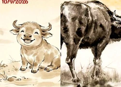 Tử vi hôm nay, xem tử vi 12 con giáp hôm nay ngày 9/9/2026: Tuổi Ngọ tiết kiệm tài chính