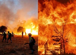 WMO: Cháy rừng, nắng nóng đe dọa chất lượng không khí