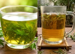 4 lợi ích sức khỏe khi uống nước lá đinh lăng khô mỗi ngày