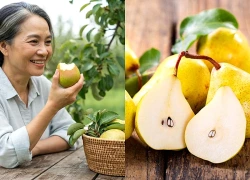 Ăn quả lê đúng cách: Bổ sung dưỡng chất cho xương và quá trình lão hóa