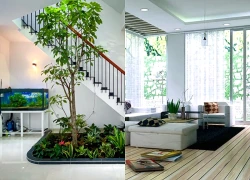 Ánh sáng có ý nghĩa gì đối với không gian nhà ở? Mẹo bố trí đèn phòng khách để hút tài lộc và dấu hiệu phòng khách phạm phong thủy