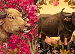 Tử vi 12 con giáp ngày 12/9: Sửu, Ngọ công việc cẩn trọng, tránh rắc rối không đáng có