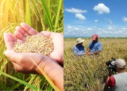 Cuba thúc đẩy chuyển đổi trong sản xuất nông nghiệp