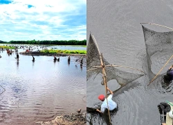 Độc đáo ngày hội 'phá Trằm'