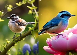 Đúng hôm nay, thứ 6 ngày 11/9/2026, 3 con giáp ĐẠI PHÚ ĐẠI QUÝ, phủ phê tiền tài, bạc vàng tràn vào nhà triền miên, tha hồ thảnh thơi xơi nước