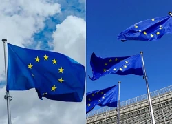 EU trước sức ép bảo vệ trẻ em trên mạng xã hội