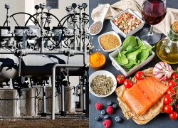 IEA tiếp tục hạ dự báo nhu cầu dầu toàn cầu